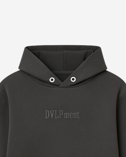 FELPA DVLPment - GRIGIO PIOMBO